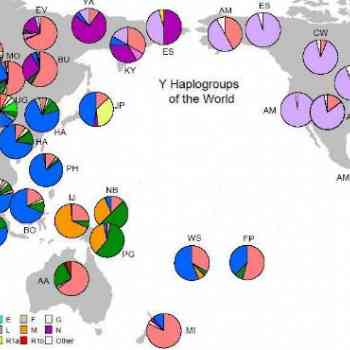 Mapa mundial de Haplogrupos Yb